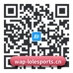 苹果版 iOS 二维码